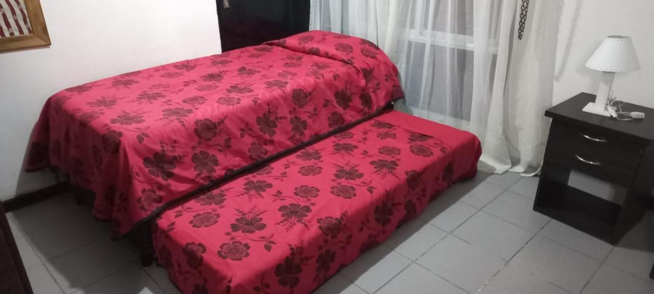 Apartamentos Willy - En Zona Residencial Con Estacionamiento Mendoza Eksteriør bilde